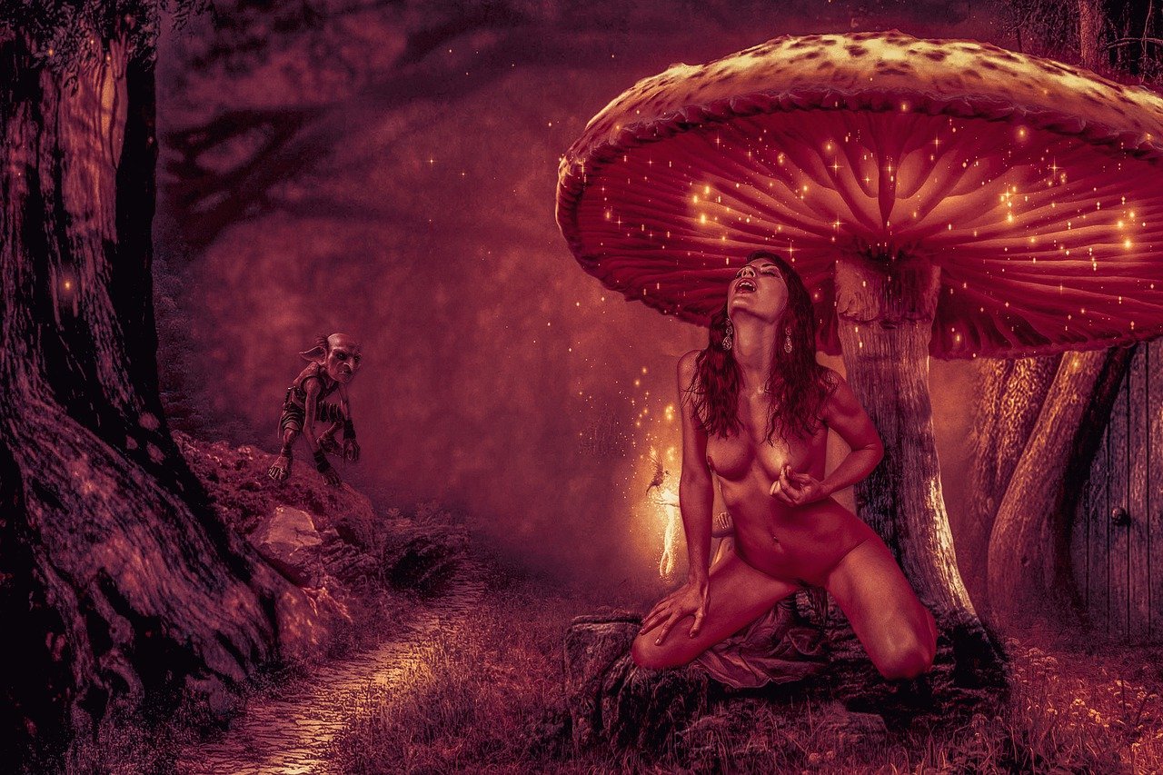 Indulge in Sensual Delights: A Unique Selection of Fetish Fantasy Products