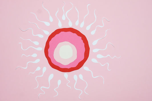 What is Sex Education?