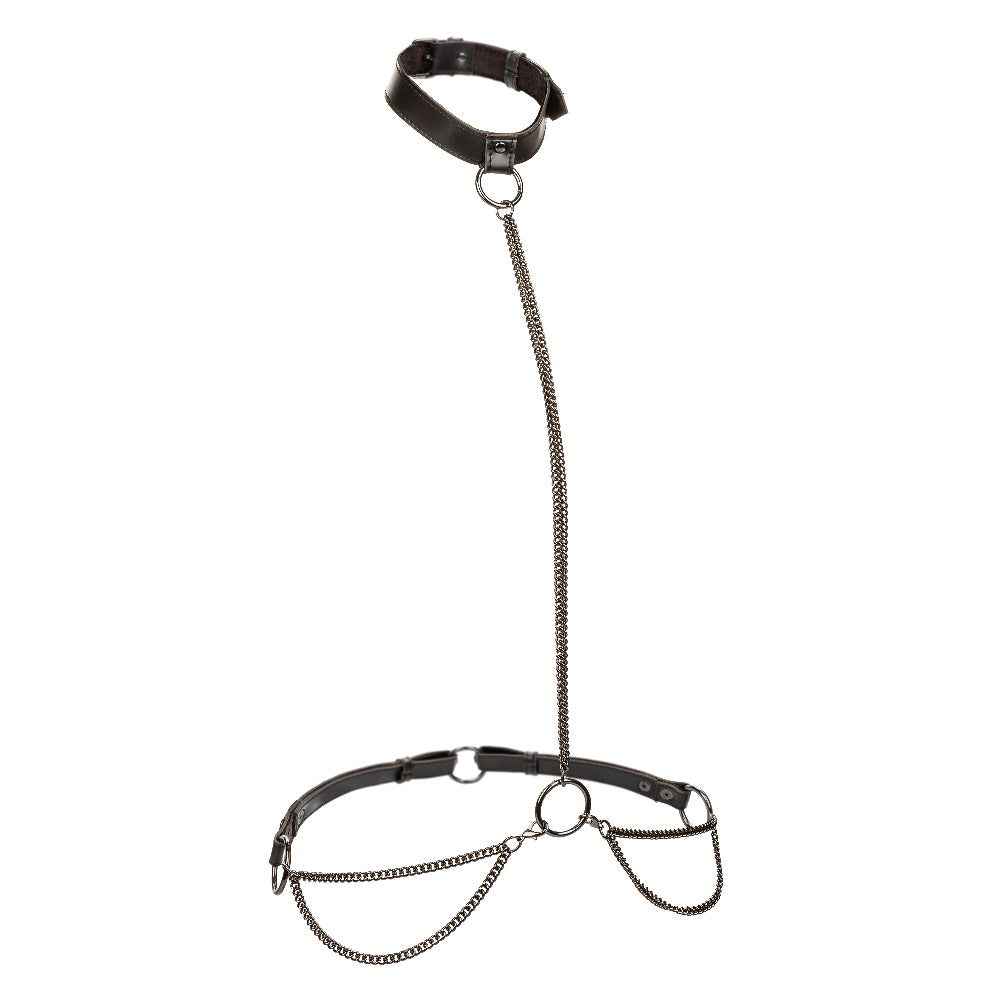 Euphoria Collection Plus Size Chain Halter/collar and Leash - Black SE3101013