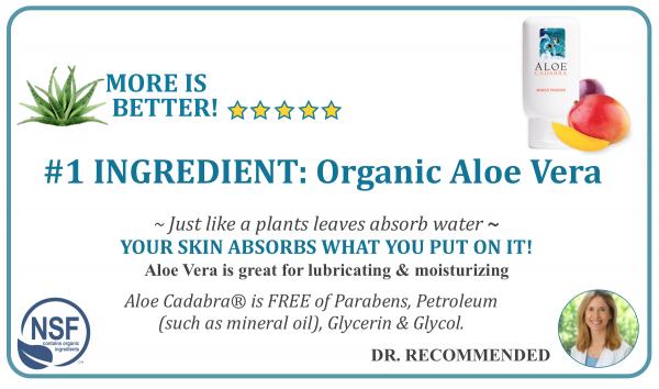Aloe Cadabra Organic Lube Mango Passion 2.5 Oz