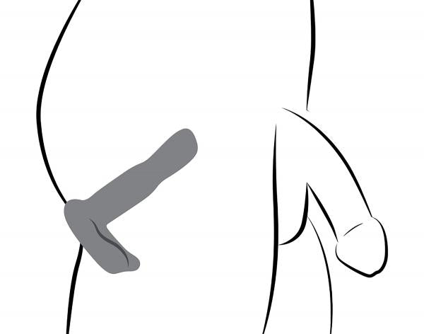 Under Control Prostate Vibe Stroking W/ Remote