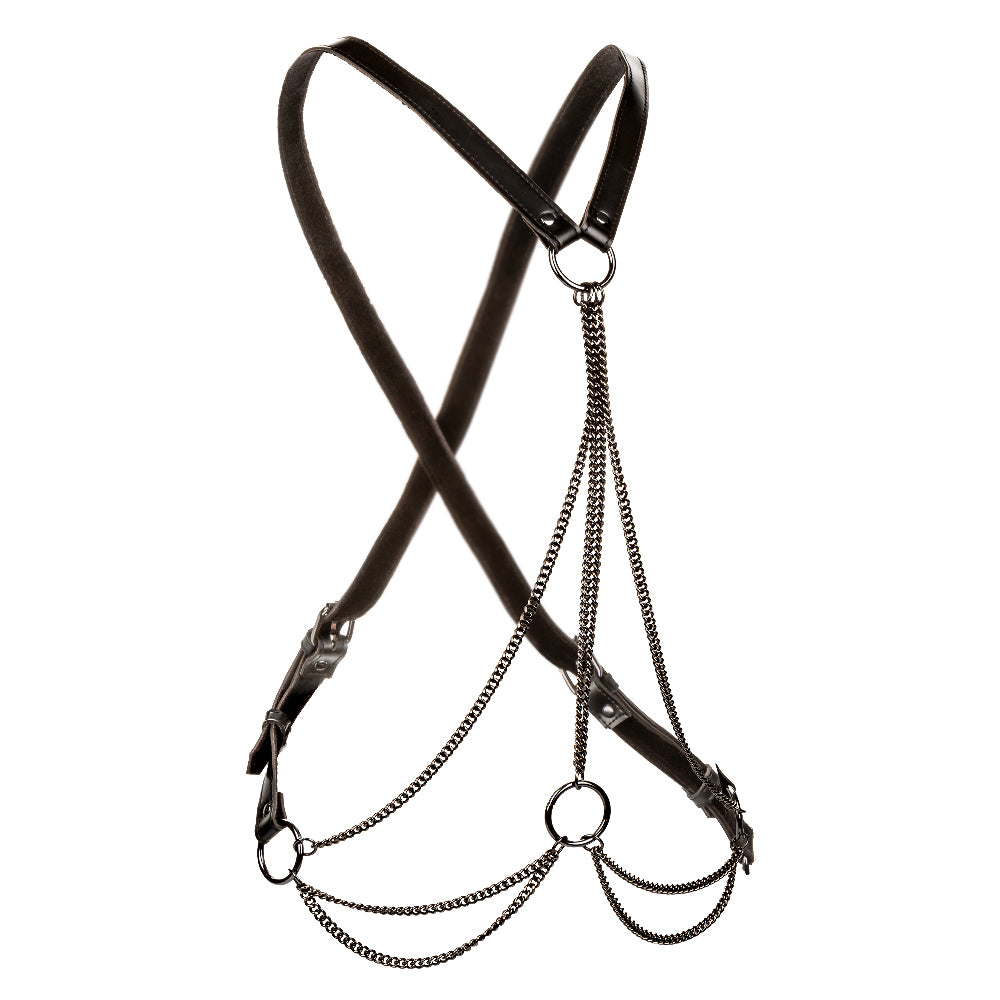 Euphoria Collection Plus Size Multi Chain Harness - Black SE3101213