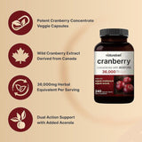 NatureBell Organic Cranberry Pills Acerola Urinary Tract Health Support 240 Capsules