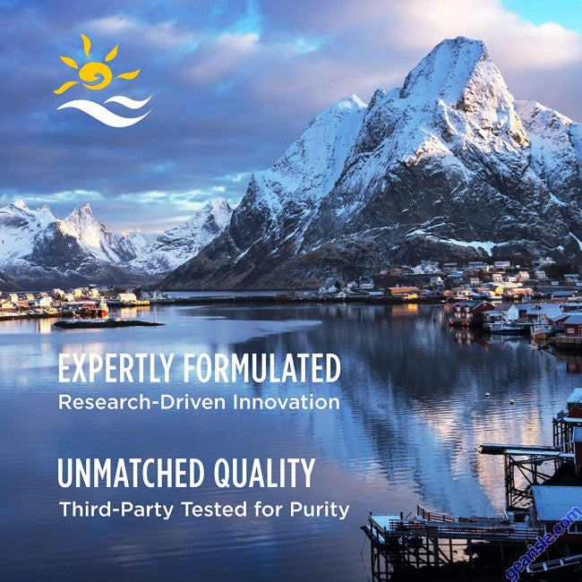 Nordic Naturals Ultimate Omega Lemon Flavor 60 Pills