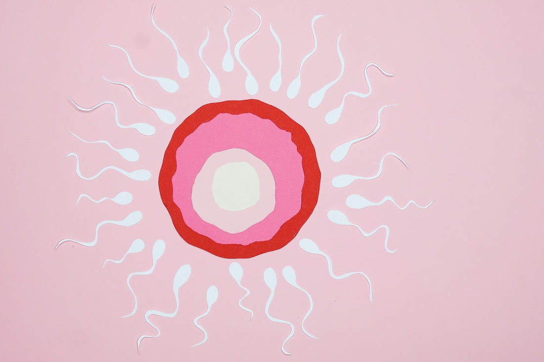 What is Sex Education?