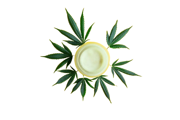 CBD Cream