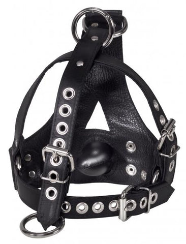 Strict Leather Bishop Head Harness With Removable Gag