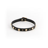 Hustler's Taboo Alina Collar Black