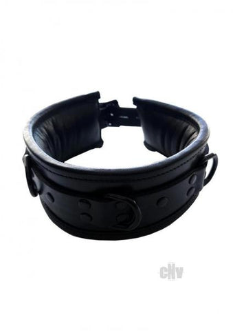 Padded Leather Collar Black