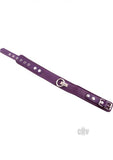 Rouge Plain Collar 1 Ring Purple