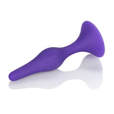 Booty Call Booty Starter Purple Butt Plug