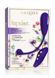 Impulse Intimate E-Stimulator Remote Kegel Exerciser