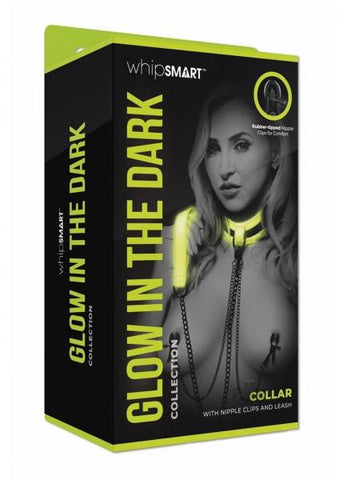 Whipsmart Gitd Collar Nipple Clip Leash