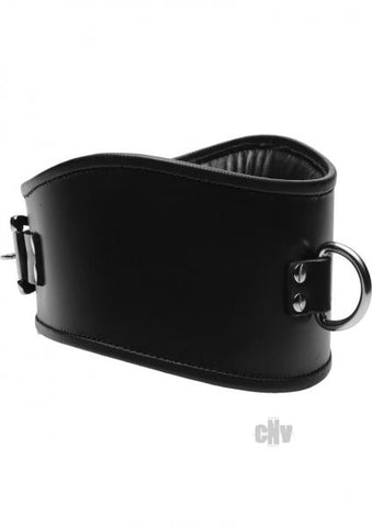 Padded Leather Locking Posture Collar