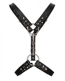 Shots Uomo Men's Harness W/metal Bit - Black