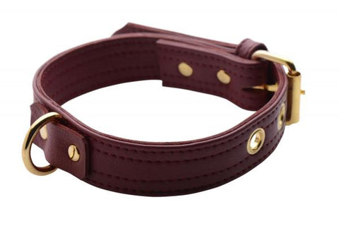 Strict Leather Burgundy Locking Collar