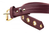 Strict Leather Burgundy Locking Collar