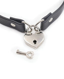Plesur PVC Collar w/Heart Lock - Black