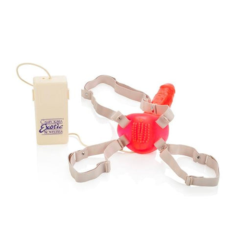 Betty's Jelly Bumble Bee