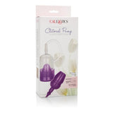 Clitoral Intimate Pump Purple