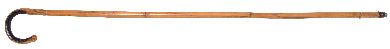 36 Inch Bamboo Cane