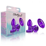 Cheeky Charms Vibrating Metal Plug Purple Small W/ Remote