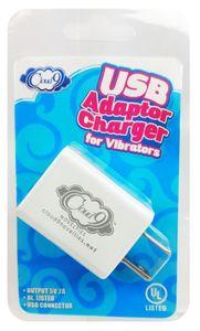 Cloud 9 USB 1 Port Adapter Charger For Vibrators