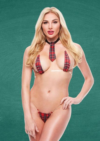 Teacher's Pet Skimpy School Girl See Thru Bikini Set M/l