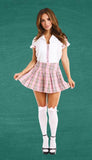 Teacher's Pet 3pc Pink Private Schoolgirl Costume