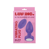 Pr17: Vibrating Plug W/ Remote Purple