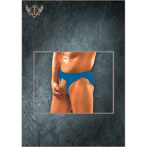 Nylon Spandex Pouchless Brief Royal One Size