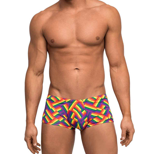 Pride Fest Mini Short Print L
