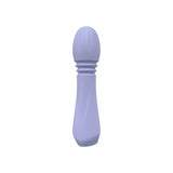 Rapture 10 Speed Vibe Silicone Rechargeable Waterproof Lavender