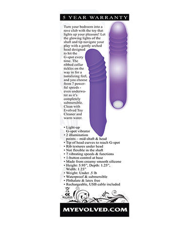 Evolved The G-rave Light Up Vibrator - Purple