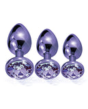 Nixie Metal Butt Plug Trainer Set W/inlaid Jewel - Purple Metallic