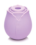 Inmi Bloomgasm Wild Rose - Purple